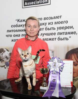 �������� ����� '������� ���-�����' 30 ������-1 ������� 2013., WCF-����� 4280